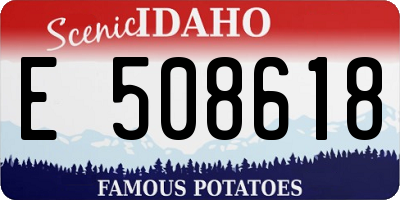 ID license plate E508618