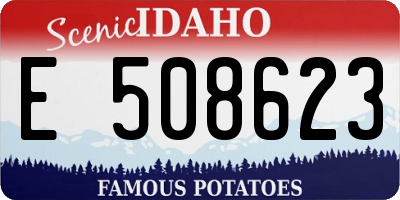 ID license plate E508623