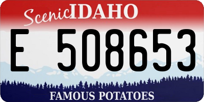 ID license plate E508653