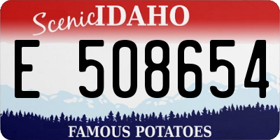 ID license plate E508654