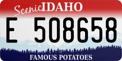 ID license plate E508658