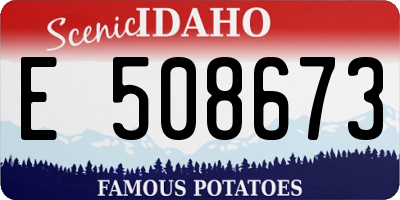ID license plate E508673