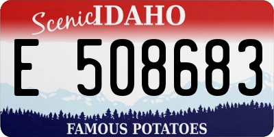 ID license plate E508683