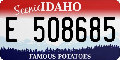 ID license plate E508685