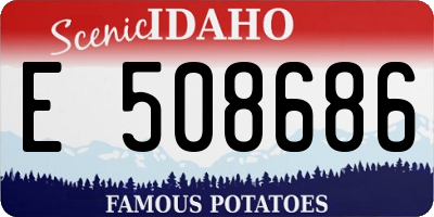 ID license plate E508686