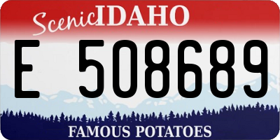 ID license plate E508689
