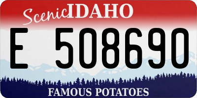 ID license plate E508690