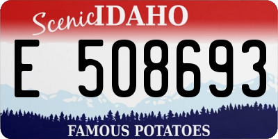ID license plate E508693