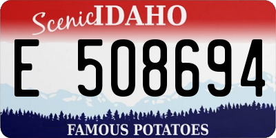 ID license plate E508694