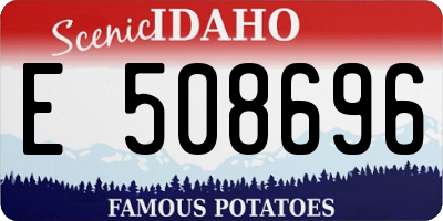 ID license plate E508696