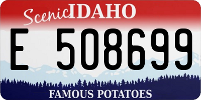 ID license plate E508699