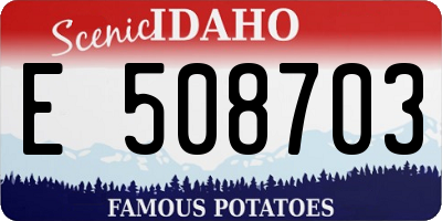 ID license plate E508703
