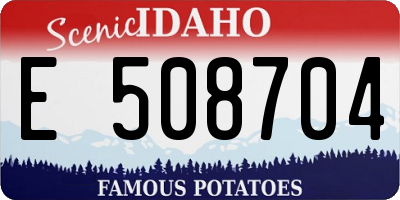 ID license plate E508704