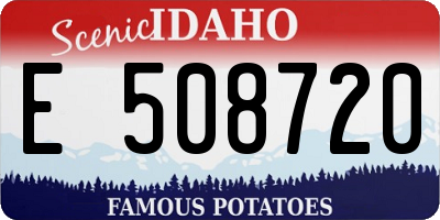 ID license plate E508720