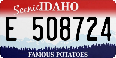 ID license plate E508724