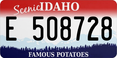 ID license plate E508728