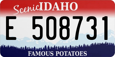 ID license plate E508731