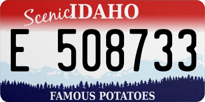ID license plate E508733