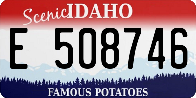ID license plate E508746