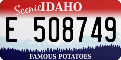 ID license plate E508749