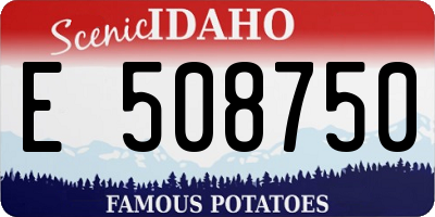 ID license plate E508750