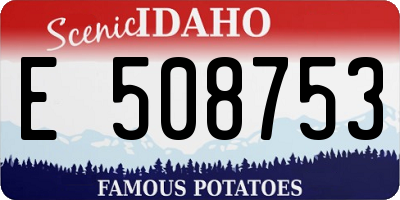 ID license plate E508753