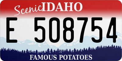 ID license plate E508754