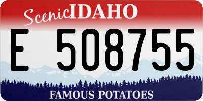 ID license plate E508755