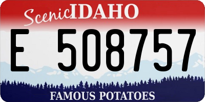 ID license plate E508757