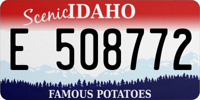 ID license plate E508772