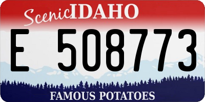 ID license plate E508773
