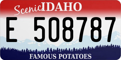 ID license plate E508787