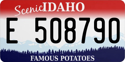 ID license plate E508790