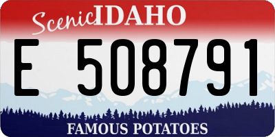 ID license plate E508791