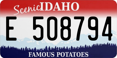 ID license plate E508794