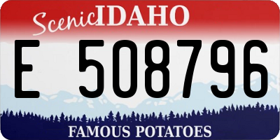 ID license plate E508796