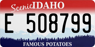 ID license plate E508799
