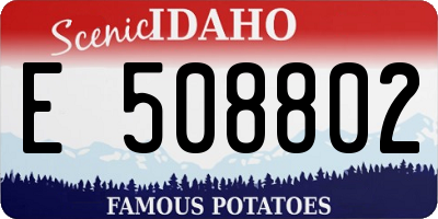 ID license plate E508802