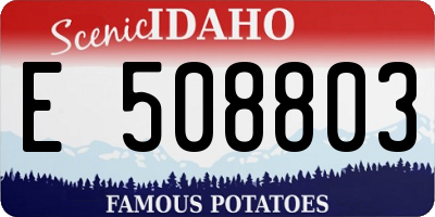 ID license plate E508803
