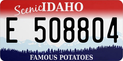 ID license plate E508804