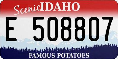 ID license plate E508807