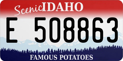 ID license plate E508863