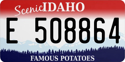 ID license plate E508864