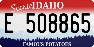 ID license plate E508865