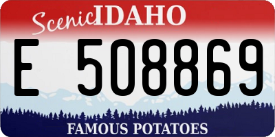 ID license plate E508869