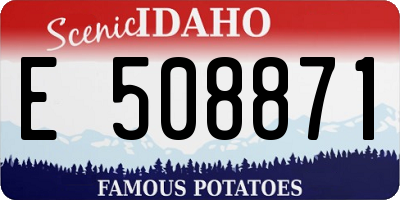 ID license plate E508871