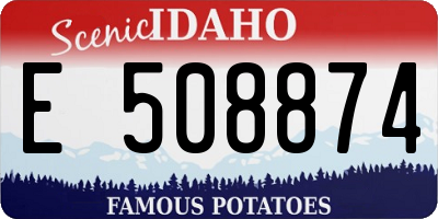 ID license plate E508874