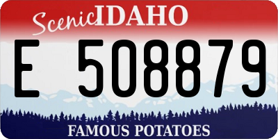 ID license plate E508879