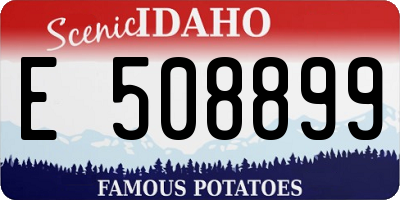ID license plate E508899
