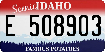 ID license plate E508903